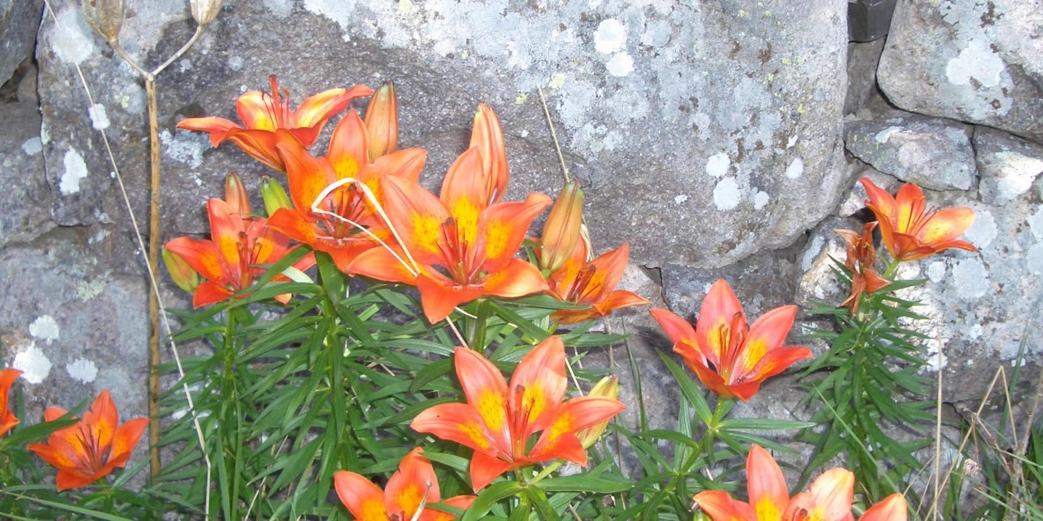 Unsere Philosophie ~ Schadnerhof, Deutschnofen (BZ)