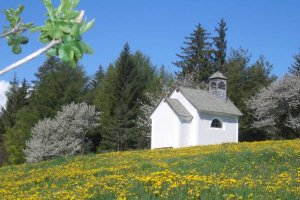 Farm