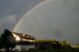 Maso