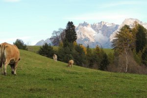 sul Latemar è caduta la prima neve