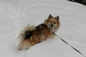 Ich kann nicht mehr, bitte nehmt mich auf den Arm