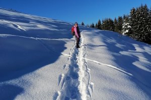 Alle Sonntagsausflüge waren klimafreundlich