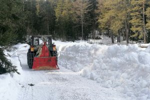 Sogar am Schadner Rundweg musste der Schneepflug seinen Dienst tun