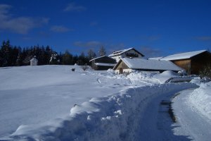 Blau und weiß halten sich im wohltuenden Gleichgewicht