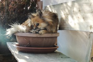 Ob ich wachsen soll?