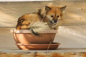 Es geht, ich werde immer größer!