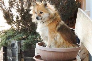 Da stehe ich nun in meiner ganzen Pracht!