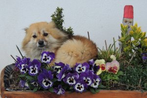 Ich habe mich ganz vorsichtig hineinglegt.