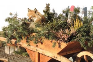 Alles unter Kontrolle!