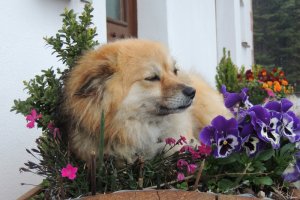 Was ist denn da schon dabei?