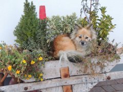 Mein Lieblingsplatz!