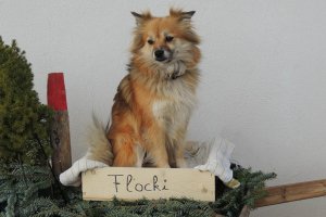 richtig zum Wohlfühlen!