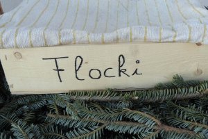 Sieht gut aus, mein neues Körbchen