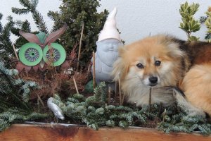 die sollen sehen, dass ich sehr verärgert bin!