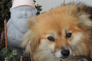 angenehm ist es hier nicht!