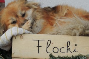 Es hat gewirkt, ich habe meinen Lieblingsplatz wieder