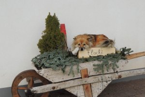 gemütlich!